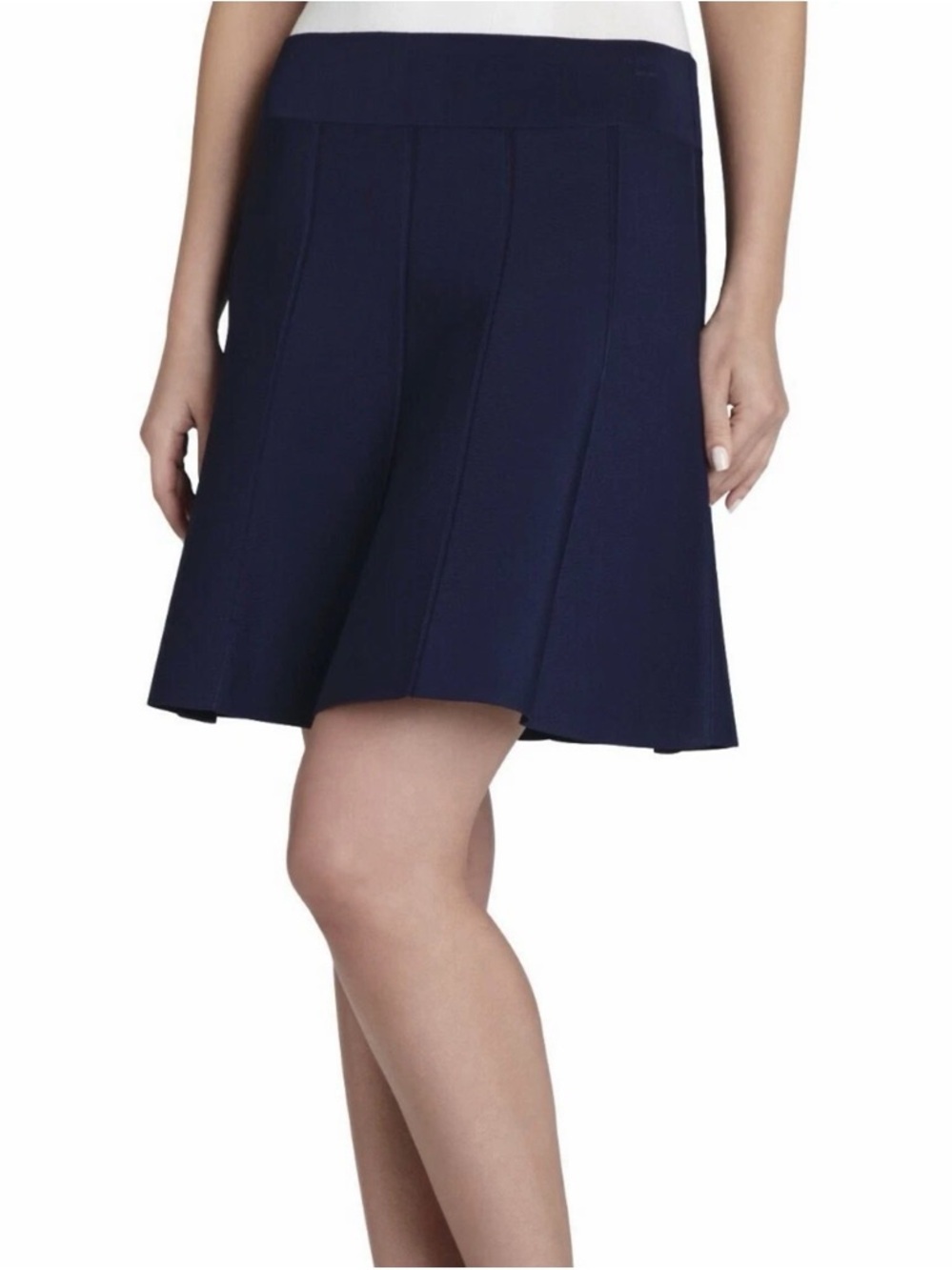 BCBGMAXAZRIA Vida Paneled Aline Skirt
